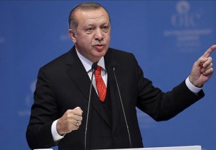 Erdogan says ‘Yellow vests’ reveal failure of European democracy, human rights