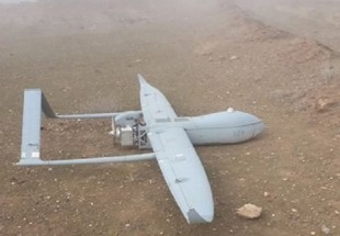 إسقاط طائرة تجسسية لقوى العدوان بالساحل الغربي اليمني