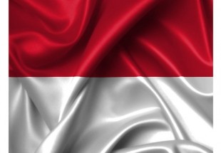 اندونزی خواستار به رسمیت شناختن فوری کشور فلسطین شد