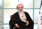 کار علمی چندانی برای تدوین سند الگوی اسلامی ایرانی پیشرفت انجام نشده است