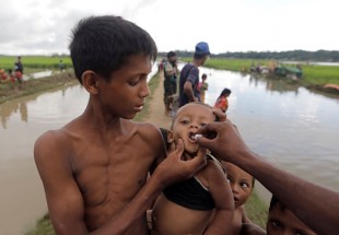 Rights group says concrete steps must be taken for Rohingya crisis resolution