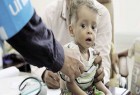سال 2018، 400 نفر در یمن قربانی «وبا »شدند