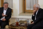 ظریف: ایران همواره از آرمان فلسطین حمایت خواهد کرد