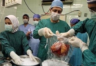 مرگ ۵۰۰۰ ایرانی در سال بر اثر بیماریهای کبدی/ تازه‌ترین نتایج از "پیوند کبد"