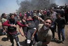 Palestinian killed, 6 injured by Israel in Gaza