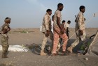 Saudi recruited child soldiers from Darfur to fight in Yemen: NYT