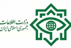 وزارت اطلاعات ۲۵ نفر از عوامل اخلال در نظام ارزی را دستگیر کرد