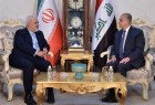ظريف والحكيم يؤكدان على تعزيز التعاون الاقتصادي والتجاري بين طهران وبغداد
