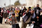 بیش از هزار آواره سوریه به شهرها و روستاهای خود بازگشتند