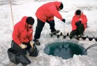 إكتشاف بقايا غامضة لكائنات حية في القارة القطبية الجنوبية