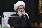 Cleric warns of Wahhabi plots against Islam, Iran