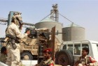 Official raps Saudi Arabia over looting Yemeni oil resources