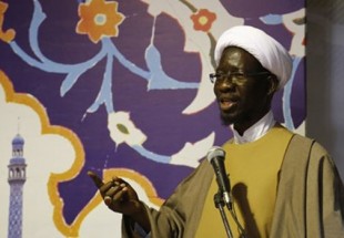 نائب رئيس رابطة المسلمين  في افريقيا : الثورة الاسلامية اضحت انموذجا لمسلمي العالم
