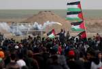 20 إصابة والمئات بالاختناقات بقمع الاحتلال المتظاهرين شرقي القطاع غزة