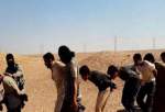 ​داعش يختطف 12 شخصاً بين الأنبار وكربلاء المقدسة