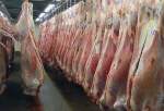 ​دستور رئیس قوه‌قضاییه برای بررسی دپوی ۱۷هزار تن گوشت در بندرعباس
