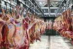 ​17 هزار تن گوشت آماده انتقال به کشور است