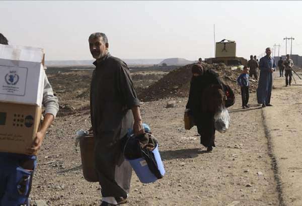 20,000 doctors fled Iraq due to violence