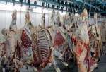​توزیع "گوشت گوسفندی" تنظیم‌بازاری در فروشگاه‌های شهروند ادامه دارد
