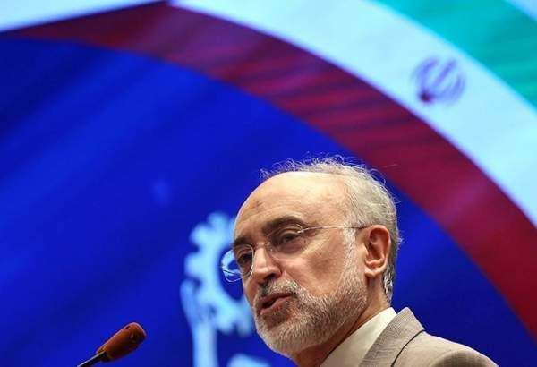 صالحی: نصب زنجیره سانتریفیوژ‌های IR۶ در نطنز آغاز شد/ ناکامی آمریکا در جلوگیری از پیشبرد اهداف کلان صنعت هسته‌ای ایران