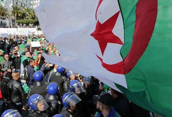 Head of Algeria’s constitutional council resigns