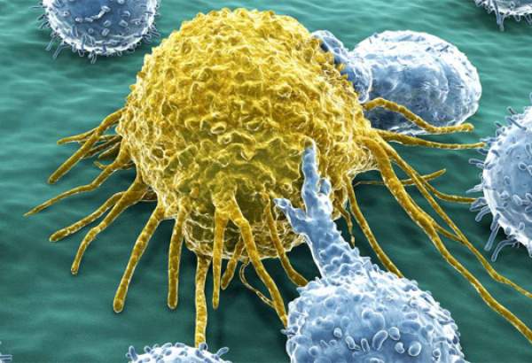 امید تازه دانشمندان برای نابودی سلول‌های سرطانی
