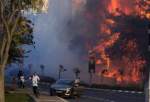 اسرائیل در برابر زبانه‌های آتش ناتوان مانده است/ تل‌آویو در کنترل حوادث طبیعی هم شکست خورد