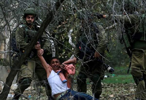 Israel arrests 12 Palestinians in West Bank
