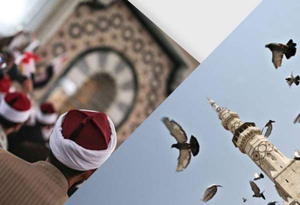 "الدين والدولة في المجال الإسلامي الراهن" في ندوة علمية بتونس
