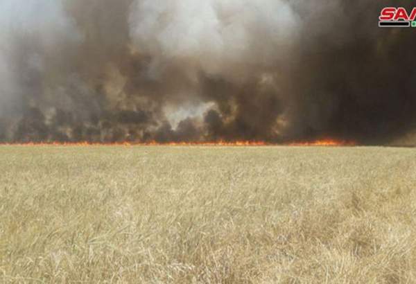 قذائف صاروخية وحرائق في أراضي زراعية بريف حماة الشمالي