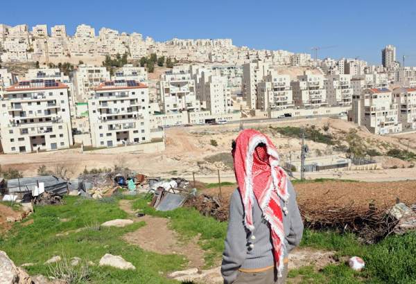 بسبب الاحتلال والاستيطان: تصحّر أكثر من 50% من أراضي الضفة الغربية