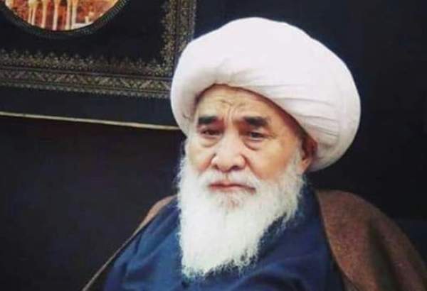 آیت الله محقق کابلی نقطه عطفی در تاریخ علمی افغانستان بود