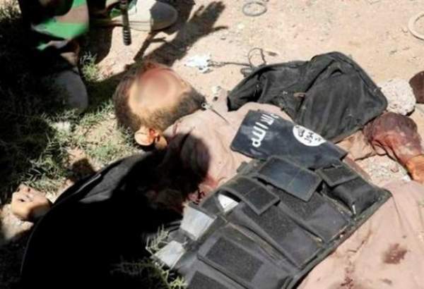8 داعشی در شرق سامراء کشته شدند