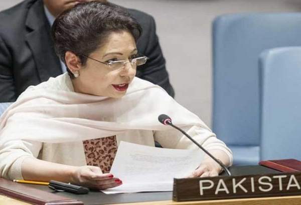پاکستان مسئلہ کشمیر پر سلامتی کونسل کے اجلاس کا خیرمقدم کرتا ہے