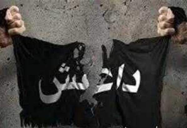 بازداشت ۶ داعشی از جمله تک تیرانداز معروف تکفیری در موصل