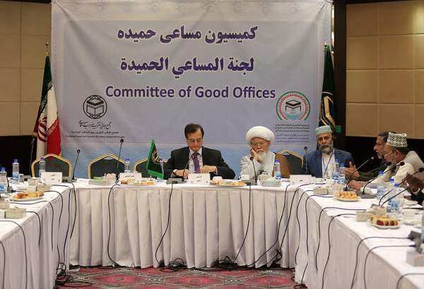 Committee of Good Offices holds meeting