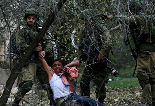 Israel detains 11 Palestinians in West Bank raids