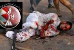 حركة أنصار شباب ثورة 14 فبراير (البحرين) تدين أحداث العنف والمجازر الجماعية ضد مسلمي الهند
