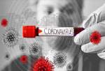 دانشمندان روسی ژنوم ویروس کرونا را کشف کردند