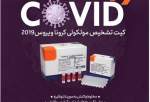Image of domestically-developed coronavirus diagnostic test kit manufactured by the Iranian knowledge-based company Pishtaz Teb Zaman Diagnostics.