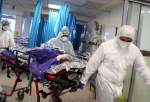 WHO reports 7 in 10 COVID-19 deaths in Europe