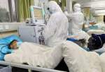 چین کے شہر ووہاں میں کورونا وائرس کے سبب مزید 1300 افراد کی ہلاکت کا اعلان
