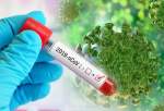 بھارت میں کورونا وائرس بے قابو