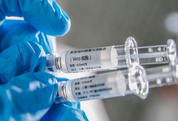 محققان چینی، مدعی آزمایش موفق واکسن کرونا روی میمون شدند