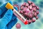 انگلیس: شواهدی درباره ساختگی بودن ویروس کرونا وجود ندارد