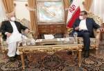 Top Iranian official warns of efforts targeting Tehran-Kabul ties