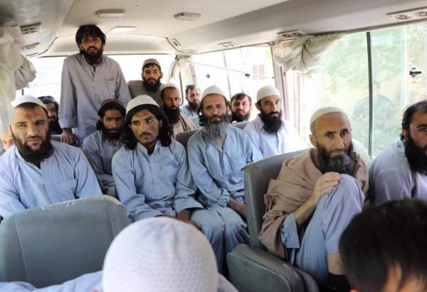 پاکستان: 25 لاکھ سے زائد افغانی غیرقانوںی طور پر رہائش پذیر  ہونے کا انکشاف