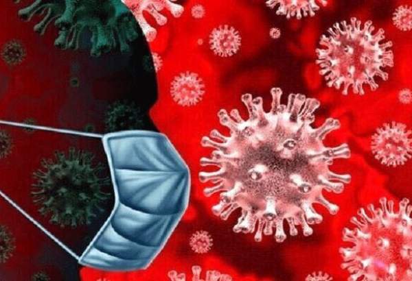 شمار مبتلایان به ویروس کرونا در جهان از مرز ۱۱ میلیون نفر گذشت