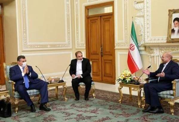 Le président du parlement iranien insiste sur le développement des relations entre l