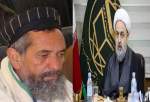 Islamic unity on top of agenda in Afghanistan religious affairs